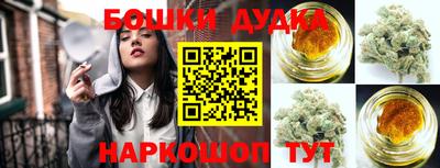 крисы Краснознаменск