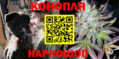 крисы Краснознаменск