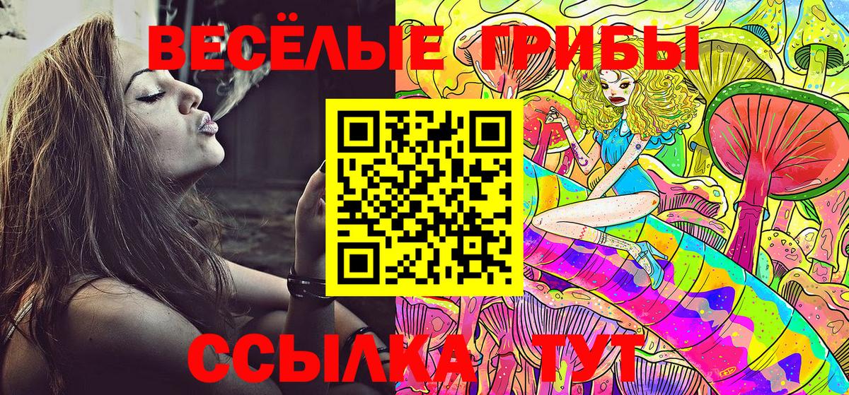 Галлюциногенные грибы Psilocybine cubensis  Вход с VPN  Галлюциногенные грибы мухоморы  Ишимбай 